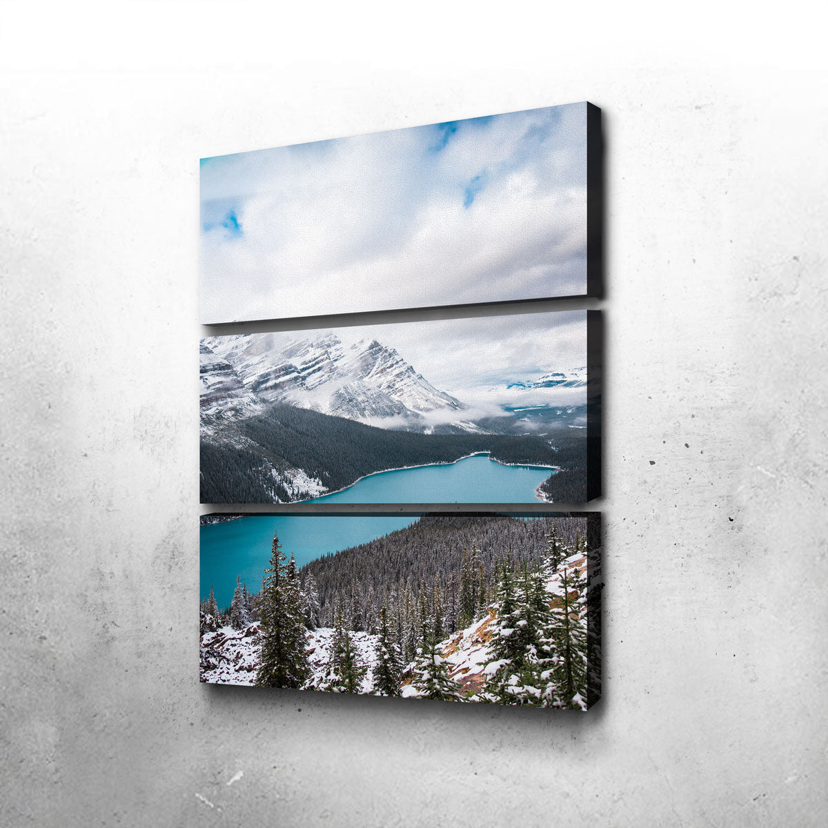 Wintry Peyto Lake