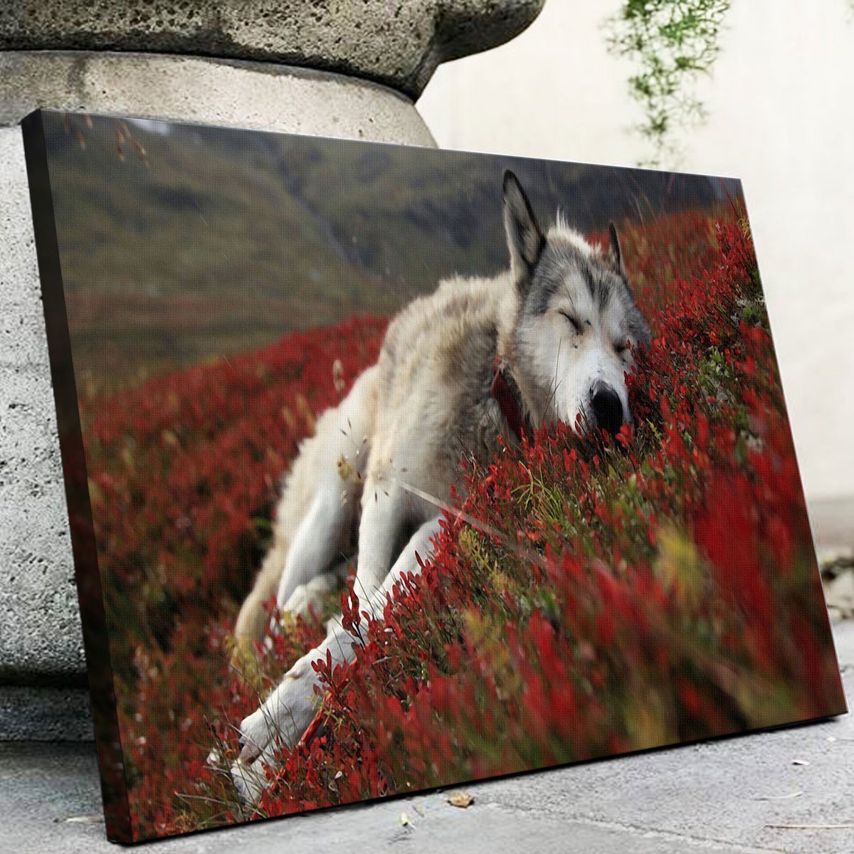 Peaceful Pup Wall Art