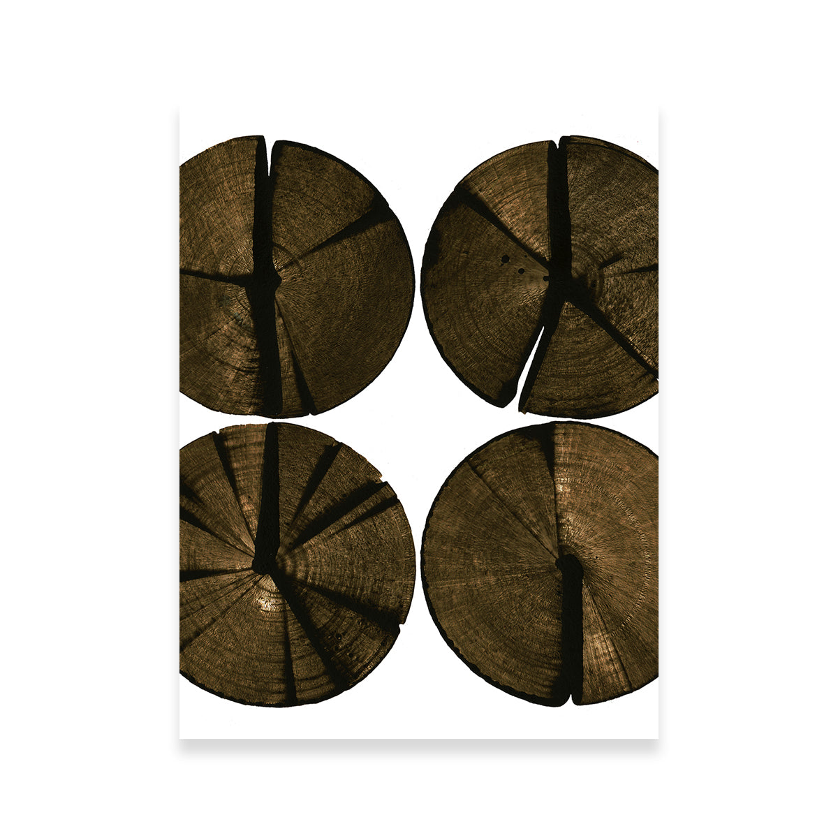 Wooden Rounds Wall Art