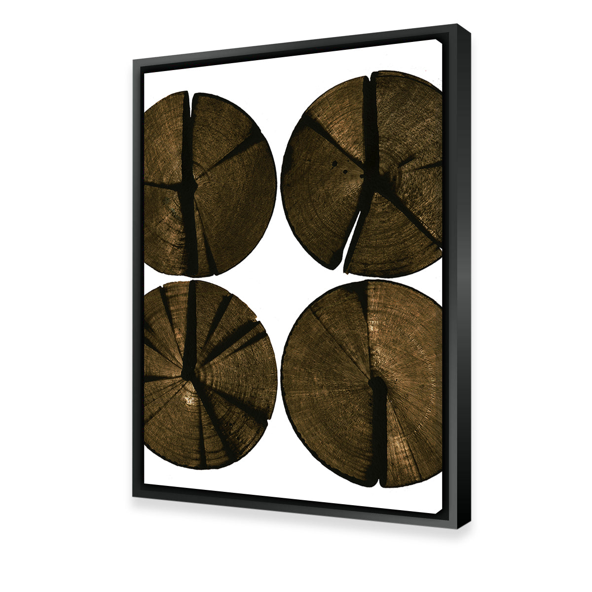 Wooden Rounds Wall Art