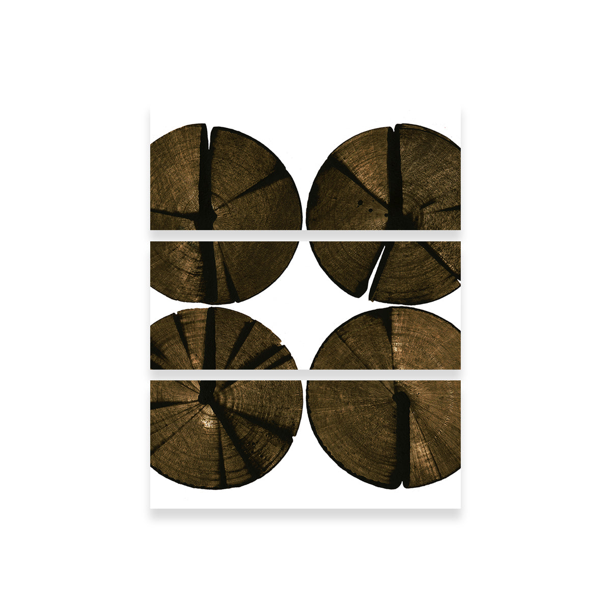 Wooden Rounds Wall Art