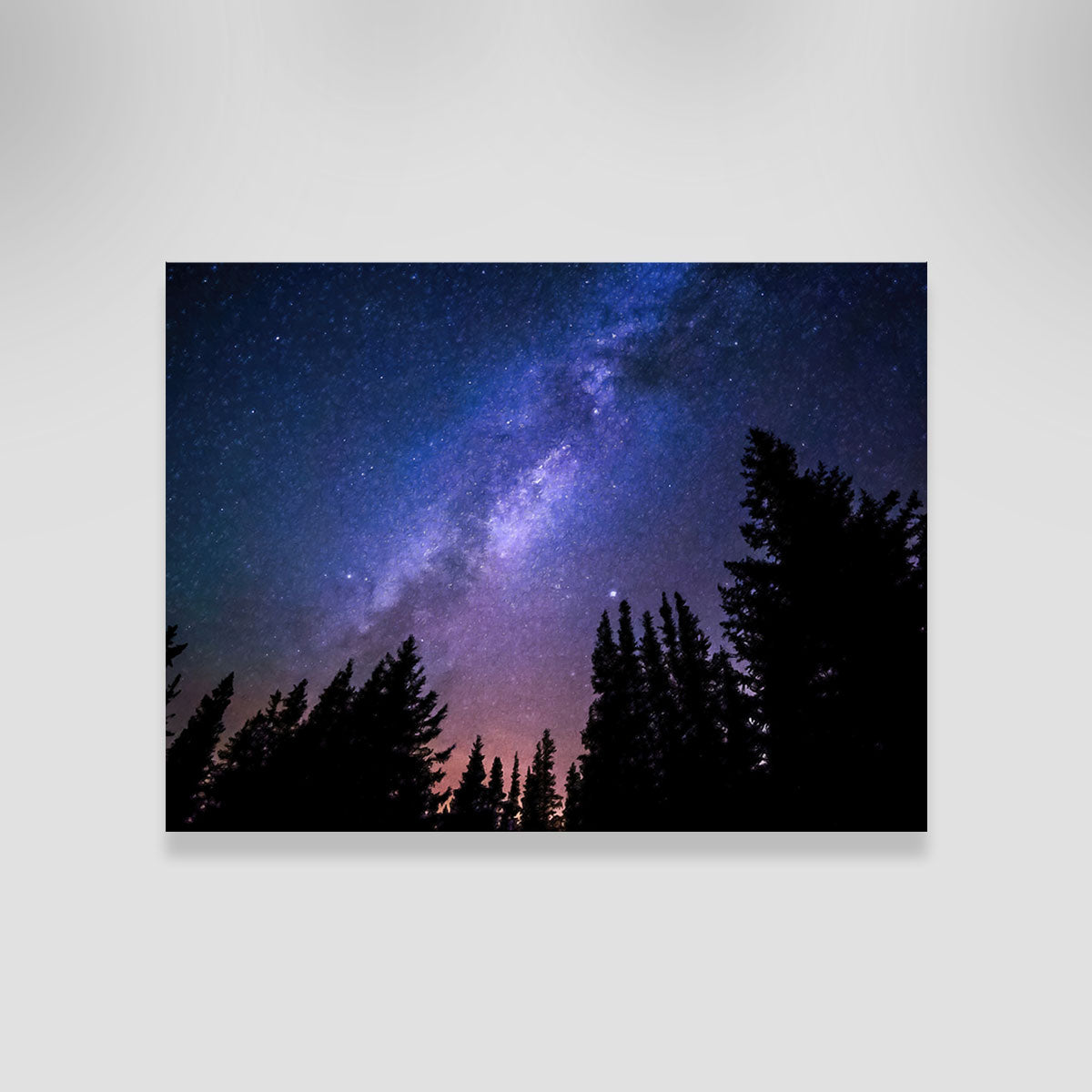 Conifers Reaching To Milky Way Wall Art