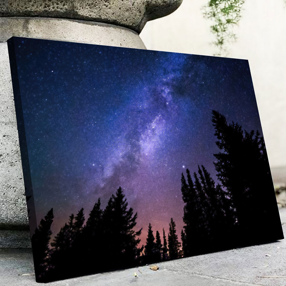 Conifers Reaching To Milky Way Wall Art