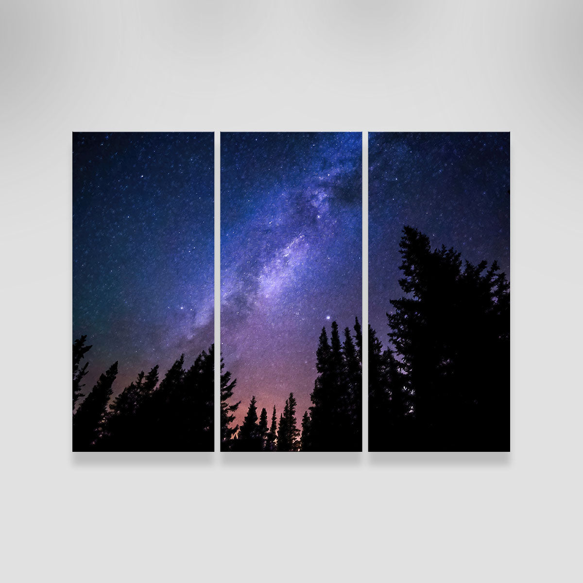 Conifers Reaching To Milky Way Wall Art