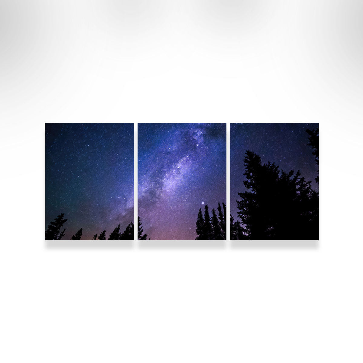 Conifers Reaching To Milky Way Wall Art