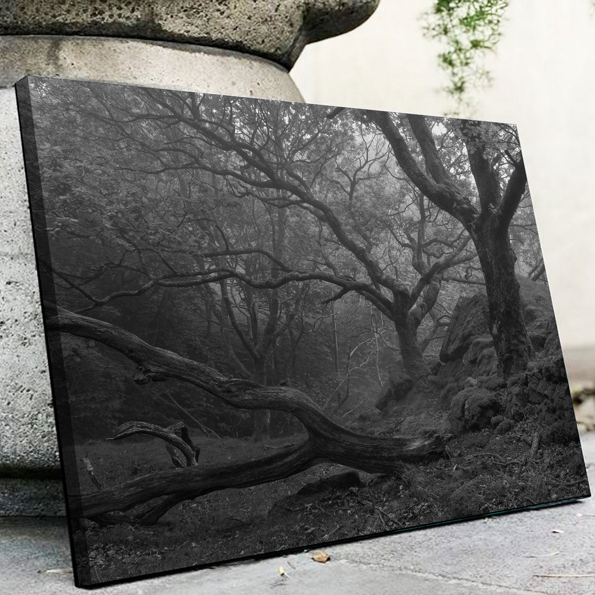 Thick Roots Wall Art