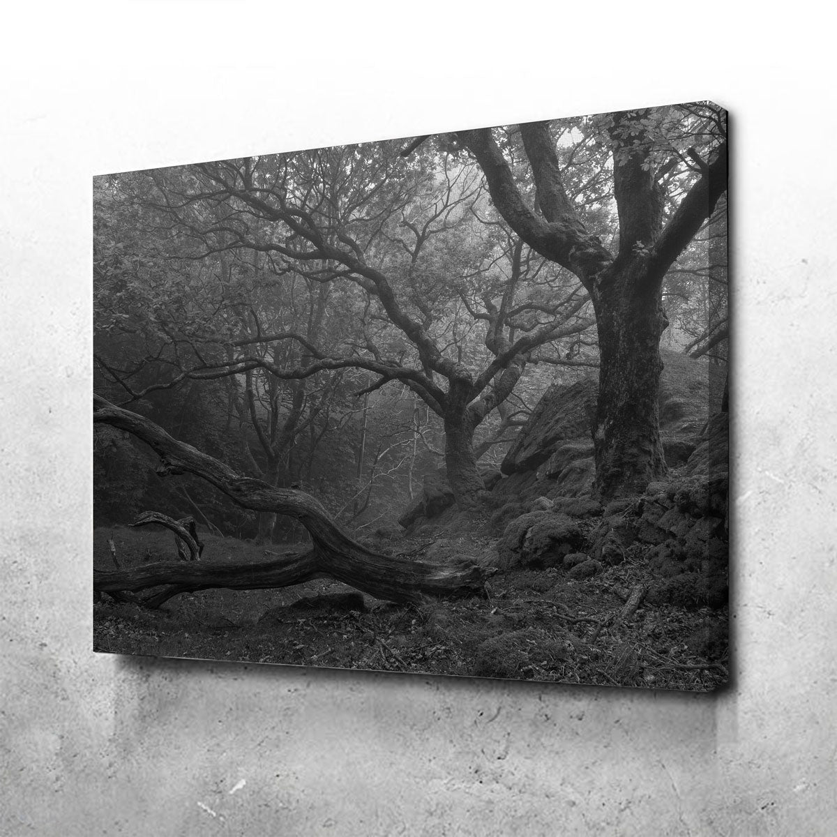 Thick Roots Wall Art