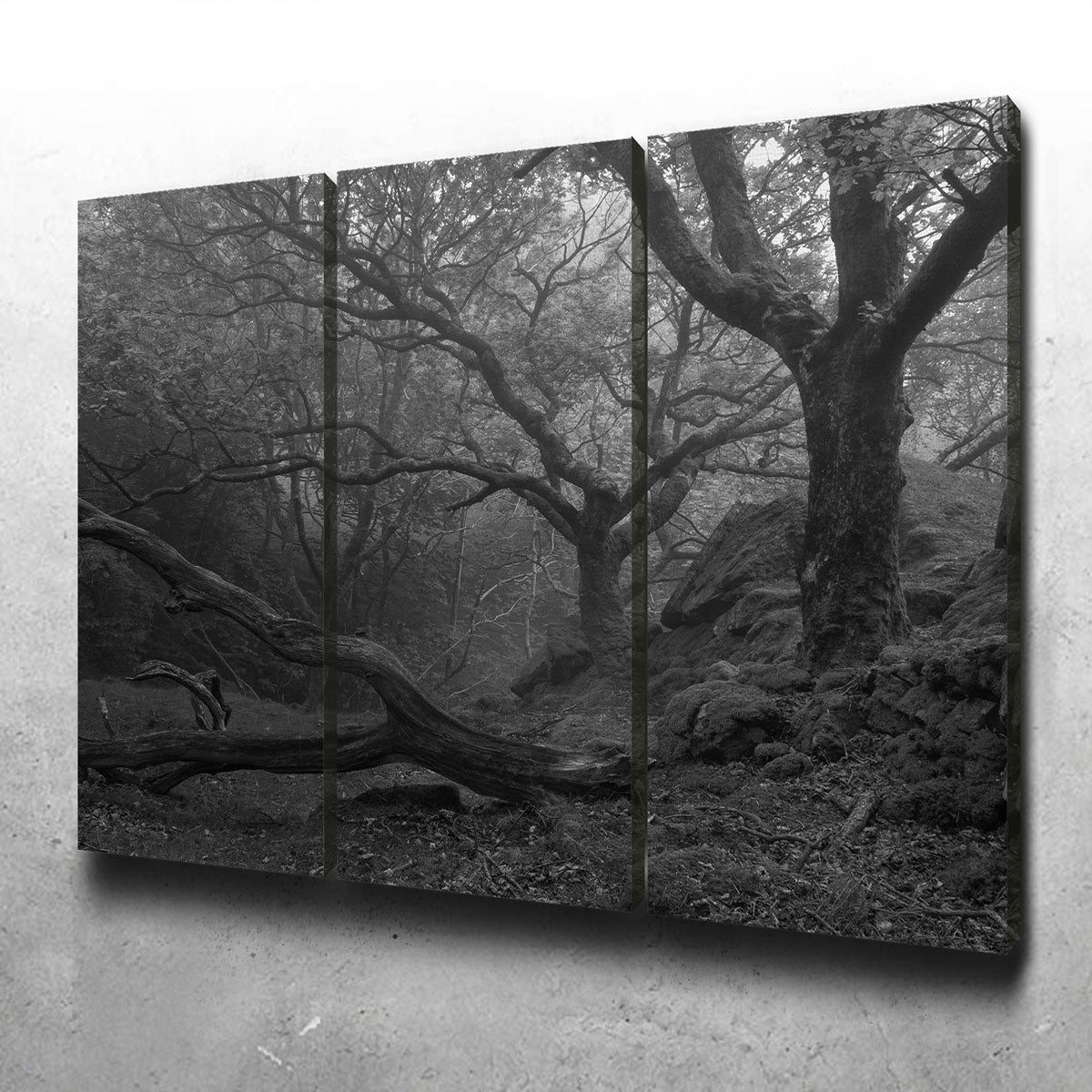 Thick Roots Wall Art
