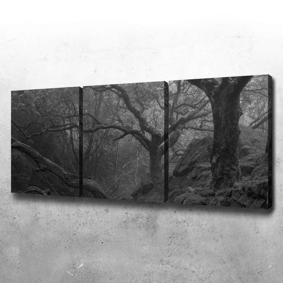 Thick Roots Wall Art
