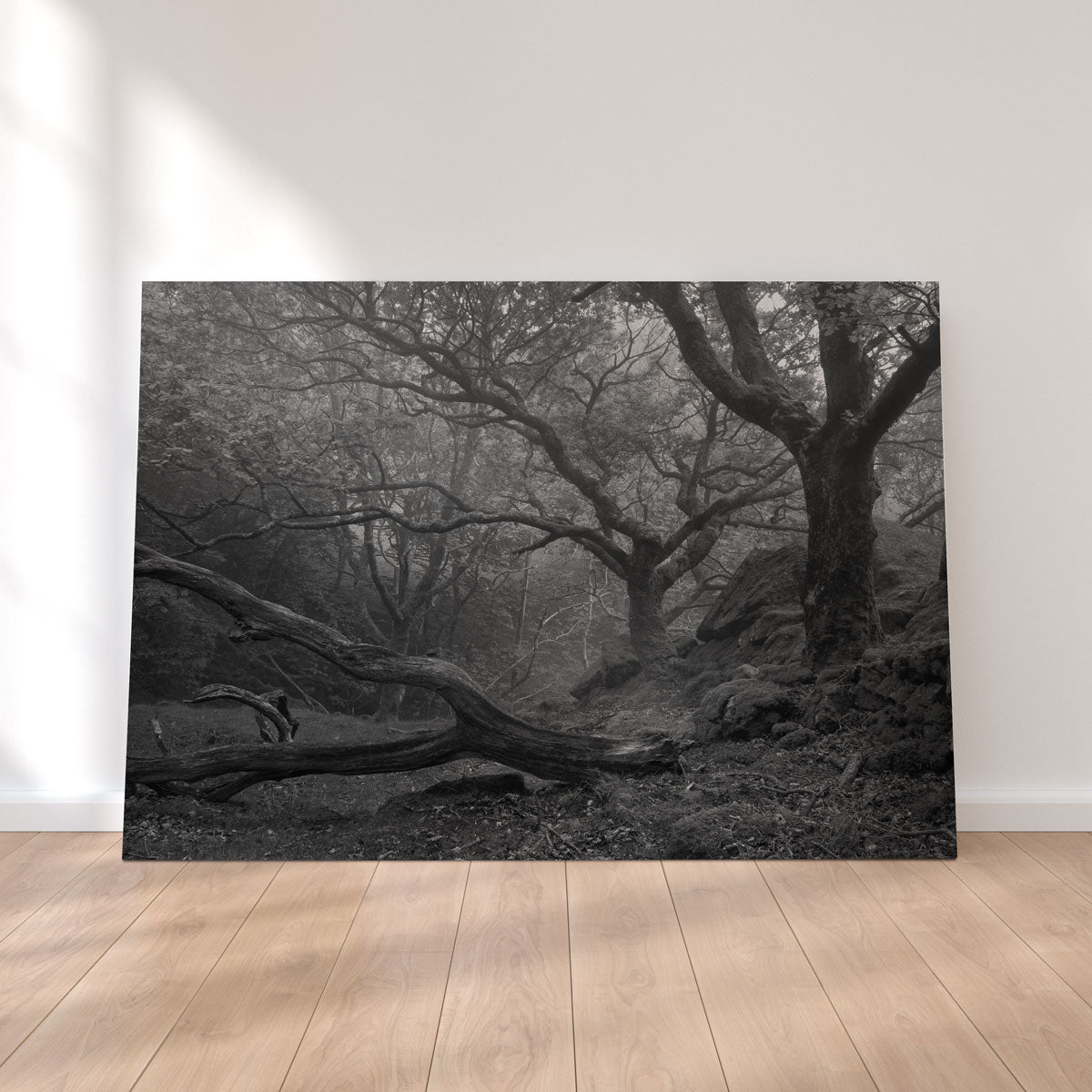 Thick Roots Wall Art