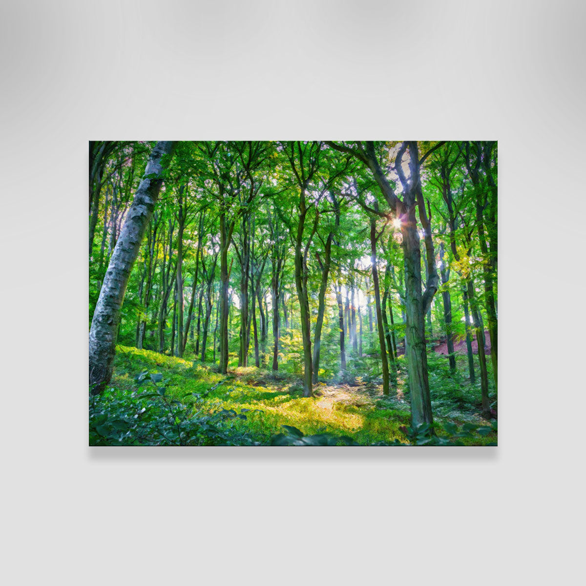 Emerald Forest Wall Art