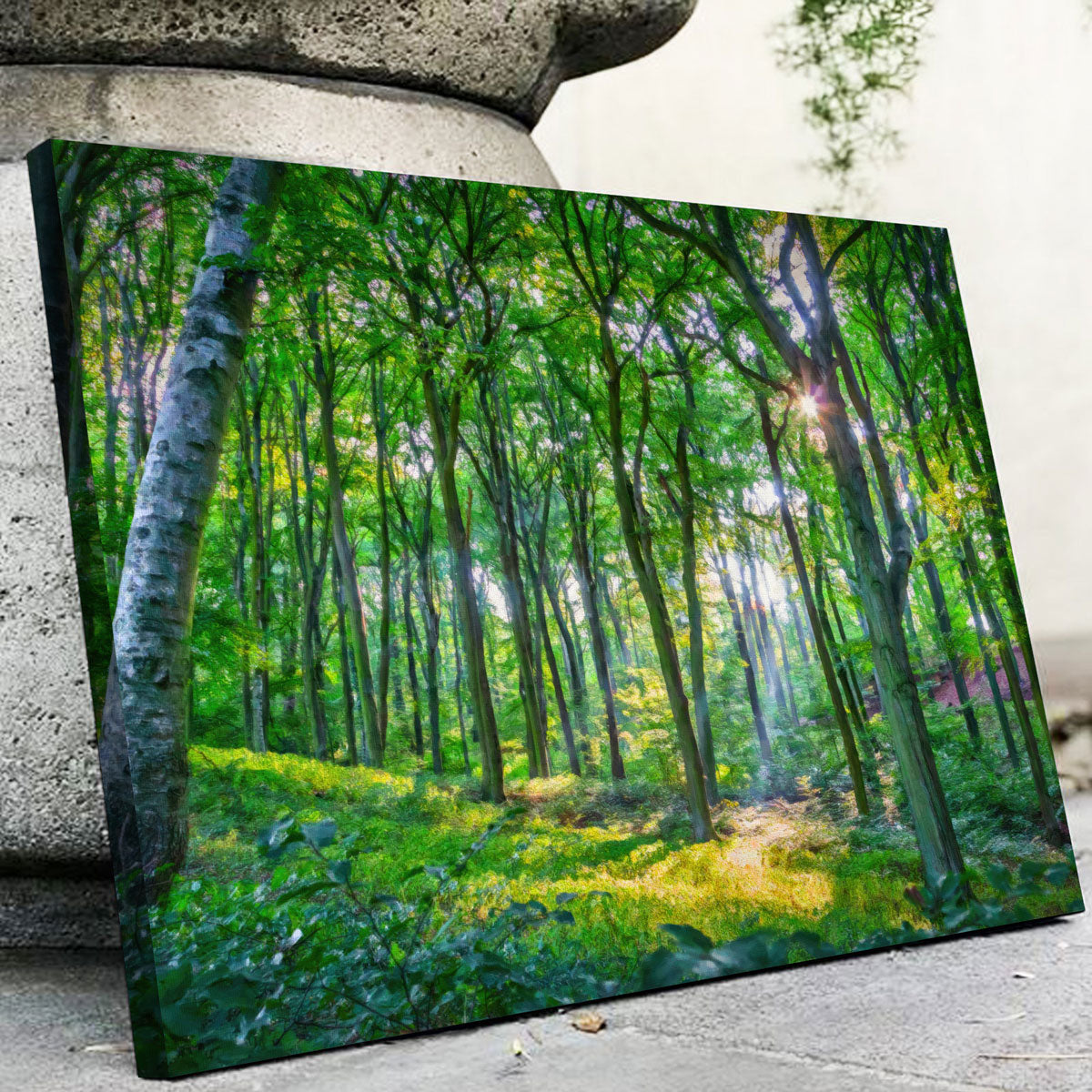 Emerald Forest Wall Art