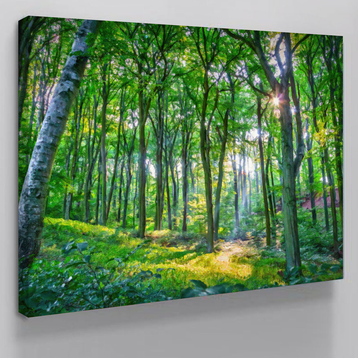 Emerald Forest Wall Art
