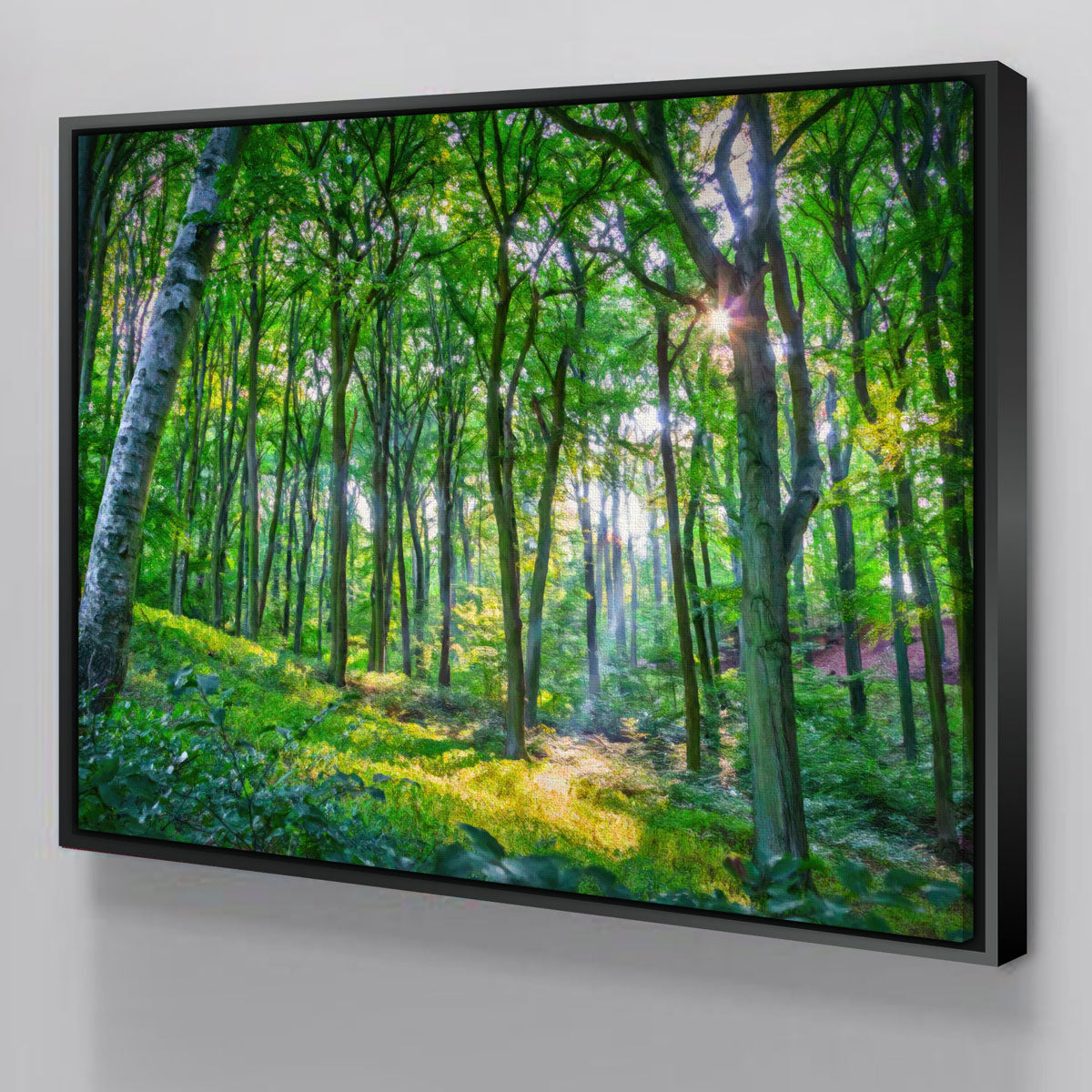 Emerald Forest Wall Art