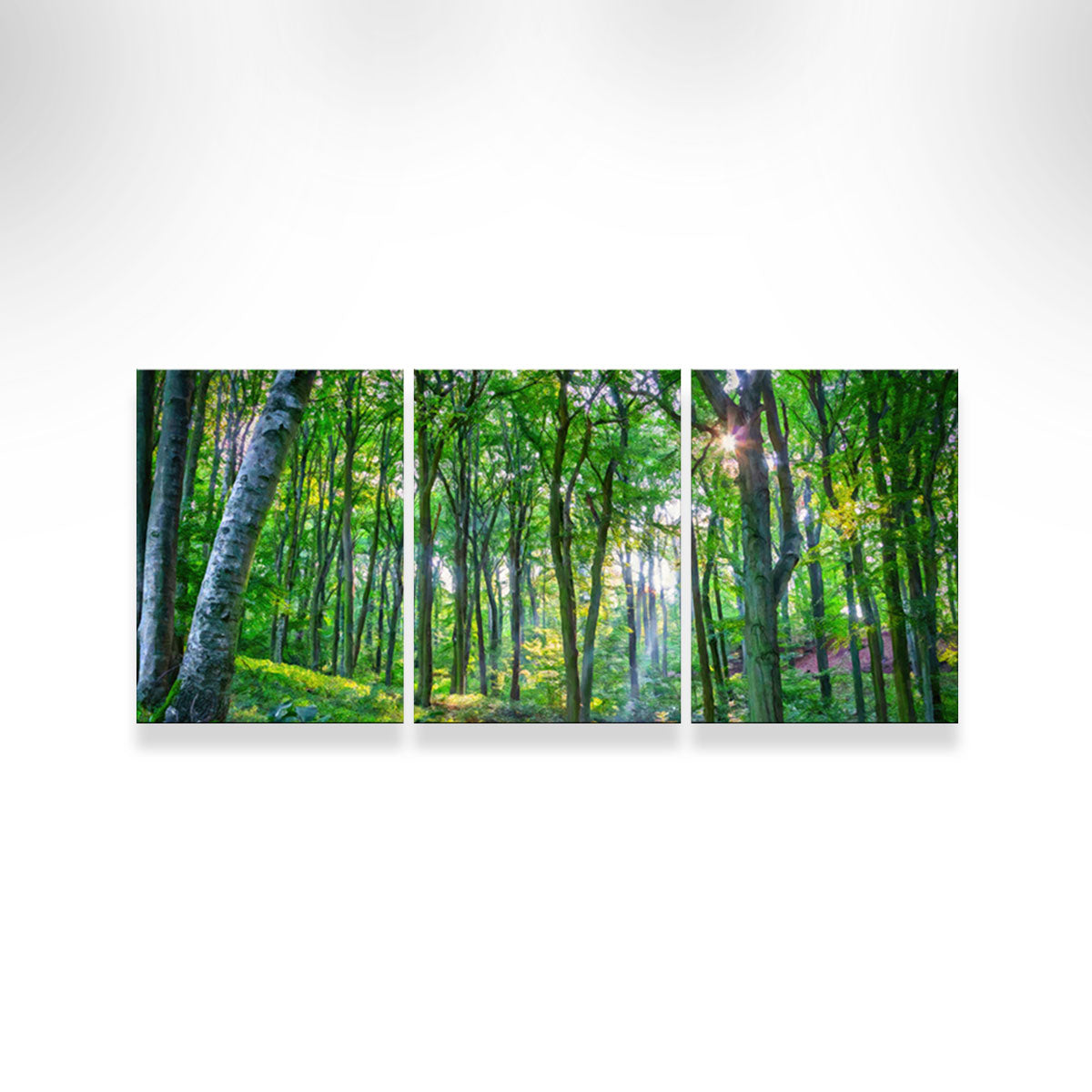 Emerald Forest Wall Art