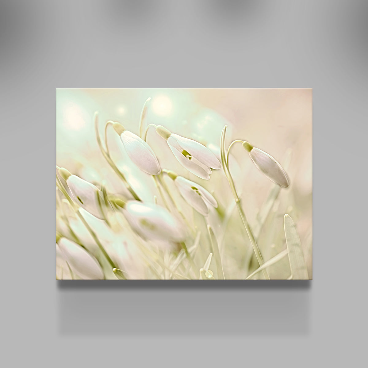 Enchanting Snowdrops Wall Art