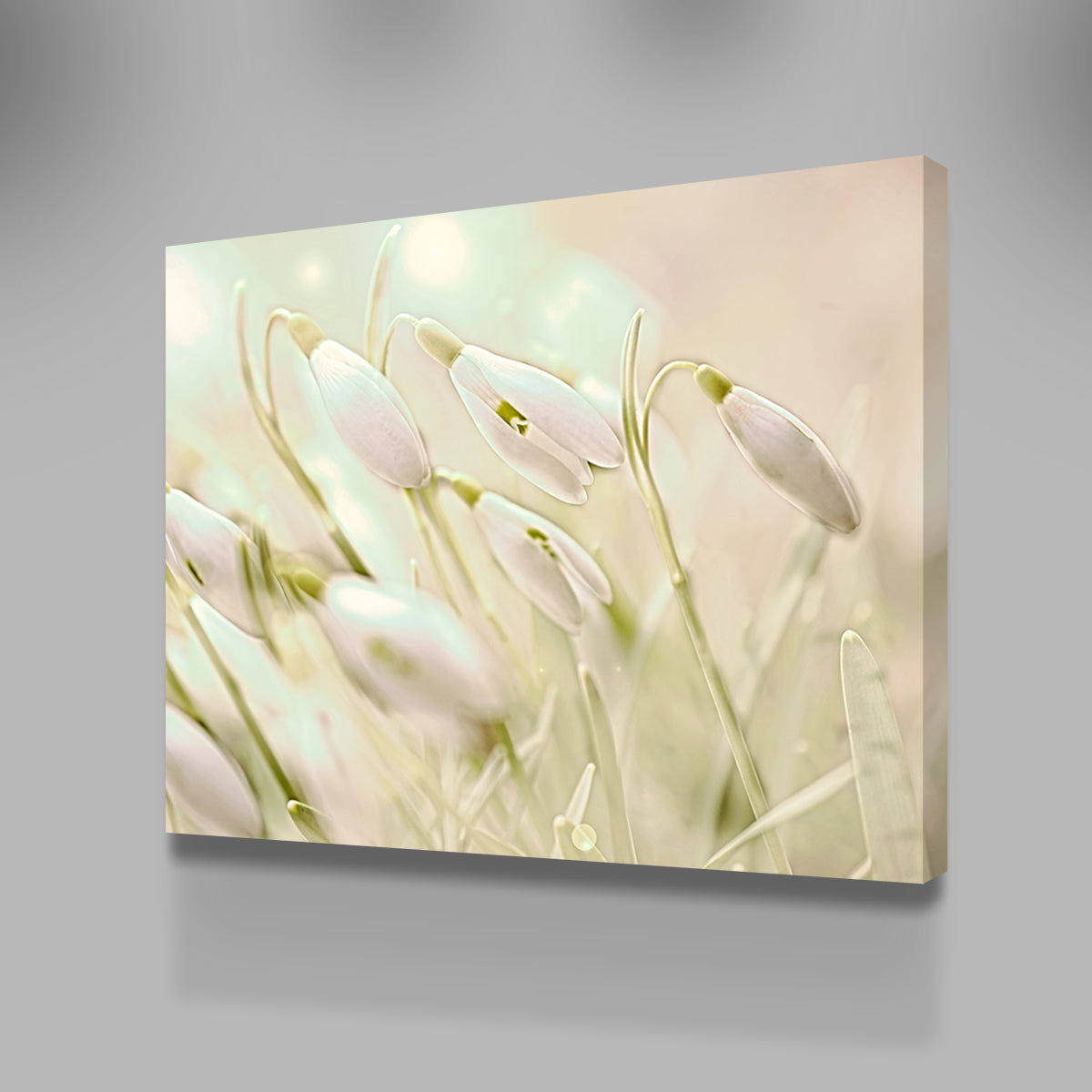 Enchanting Snowdrops Wall Art