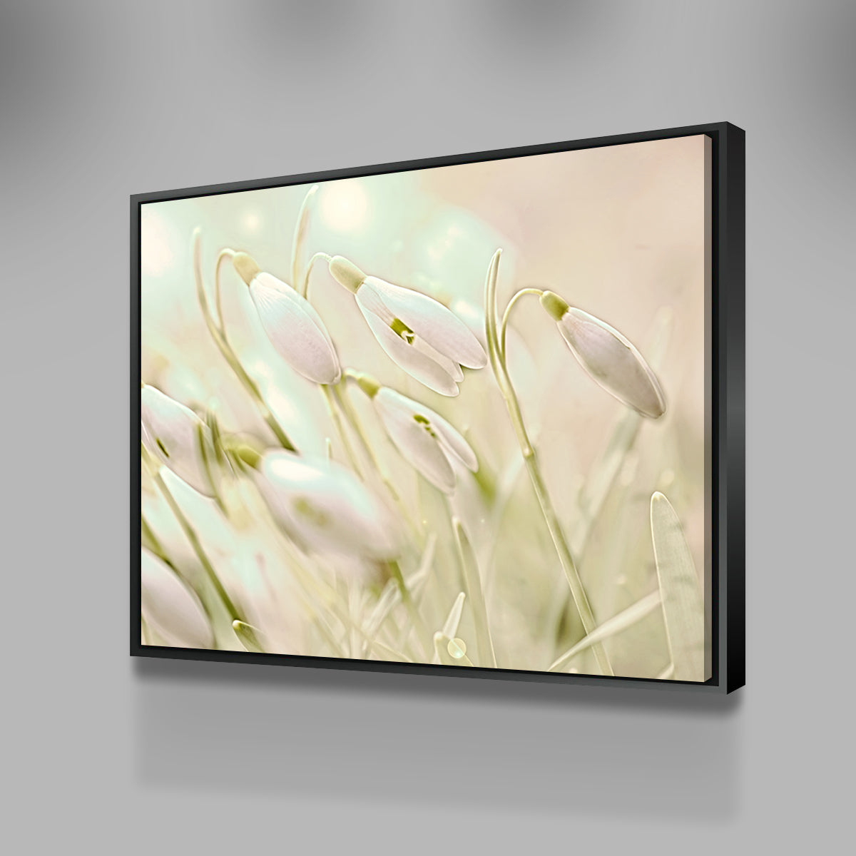 Enchanting Snowdrops Wall Art