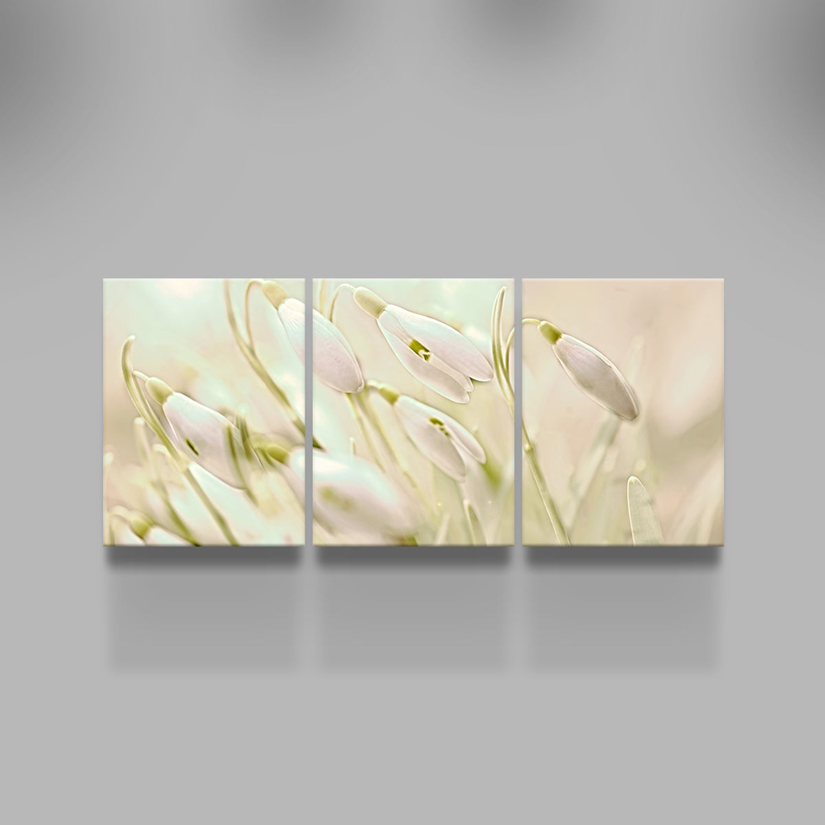 Enchanting Snowdrops Wall Art