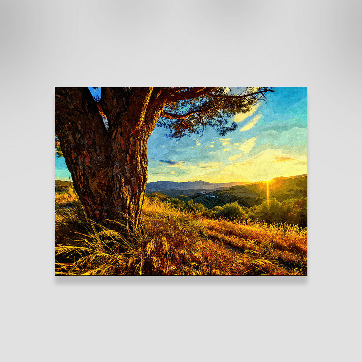 Gnarled Tree At Sunset- Wall Art