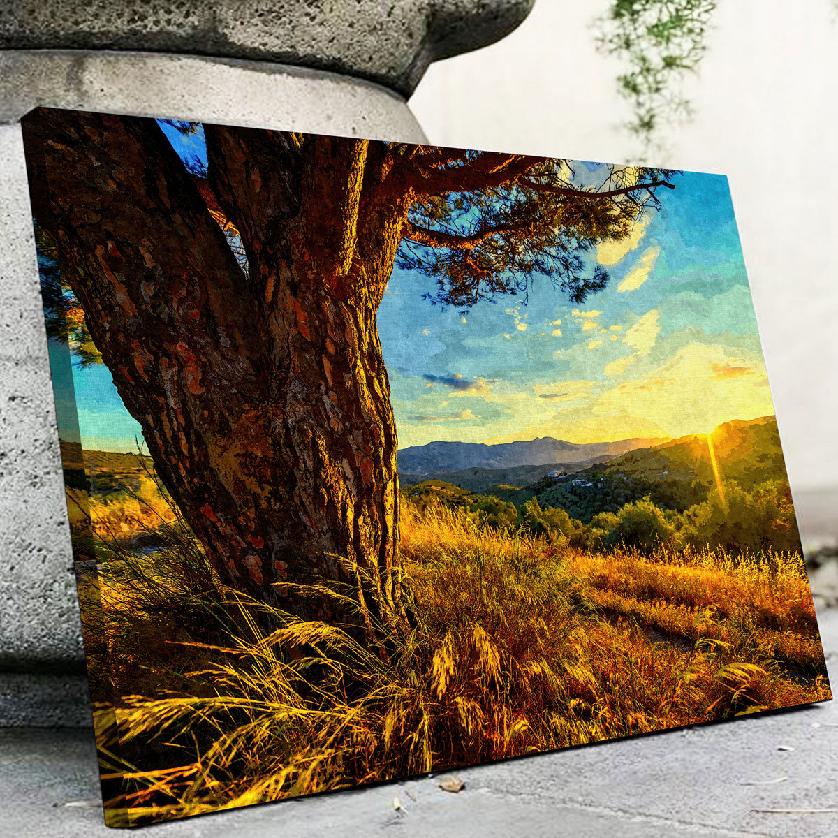 Gnarled Tree At Sunset- Wall Art
