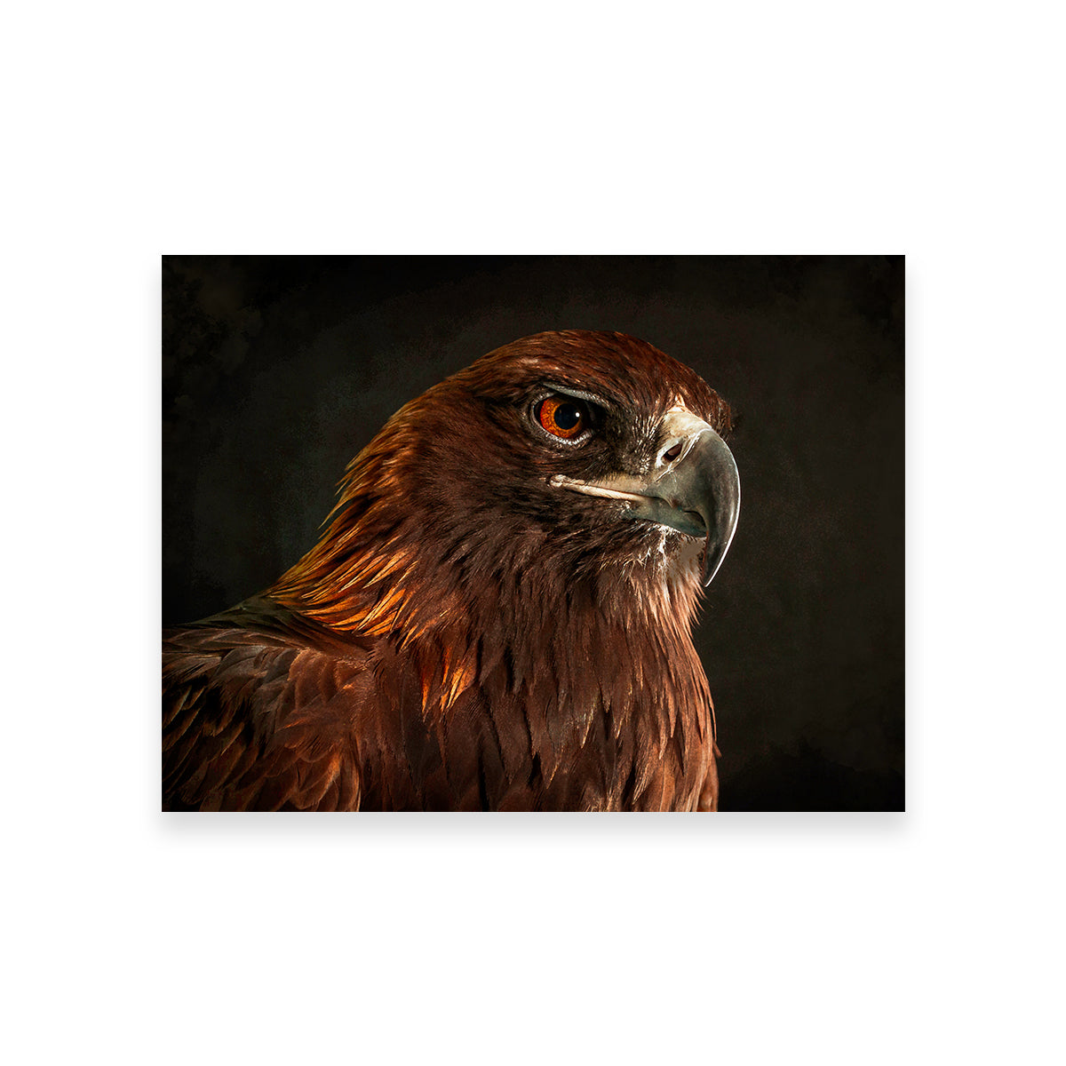 Golden Eagle Wall Art