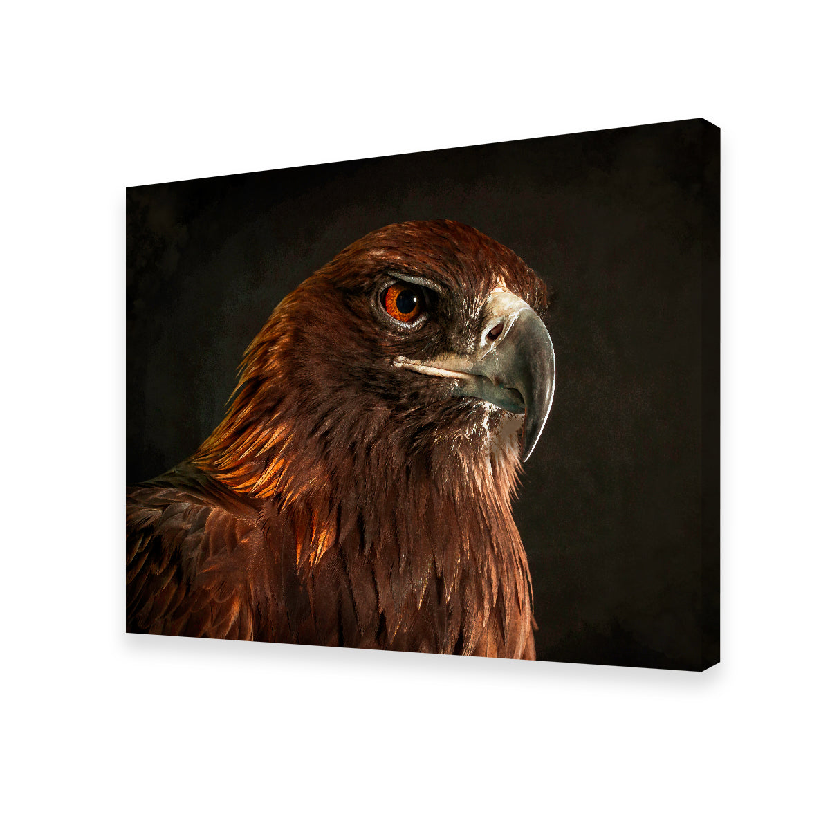 Golden Eagle Wall Art