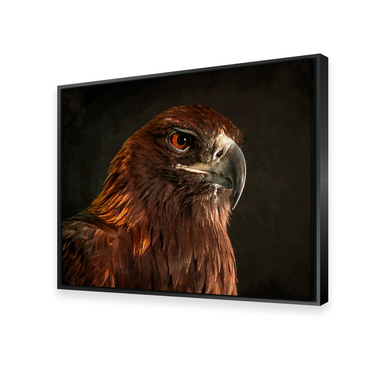 Golden Eagle Wall Art