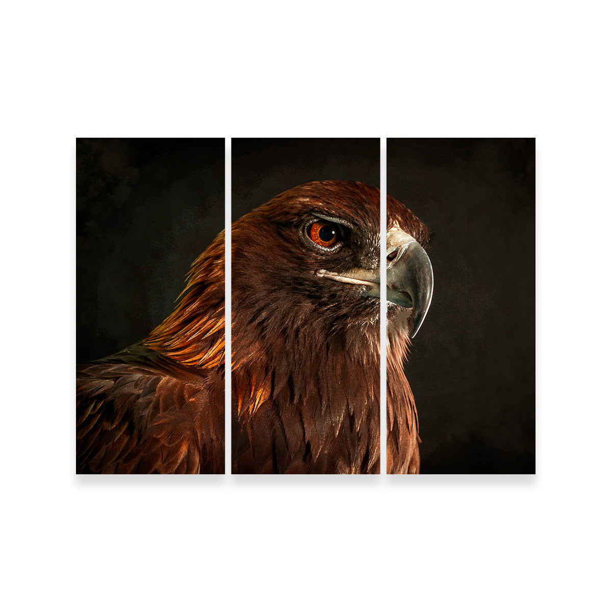 Golden Eagle Wall Art