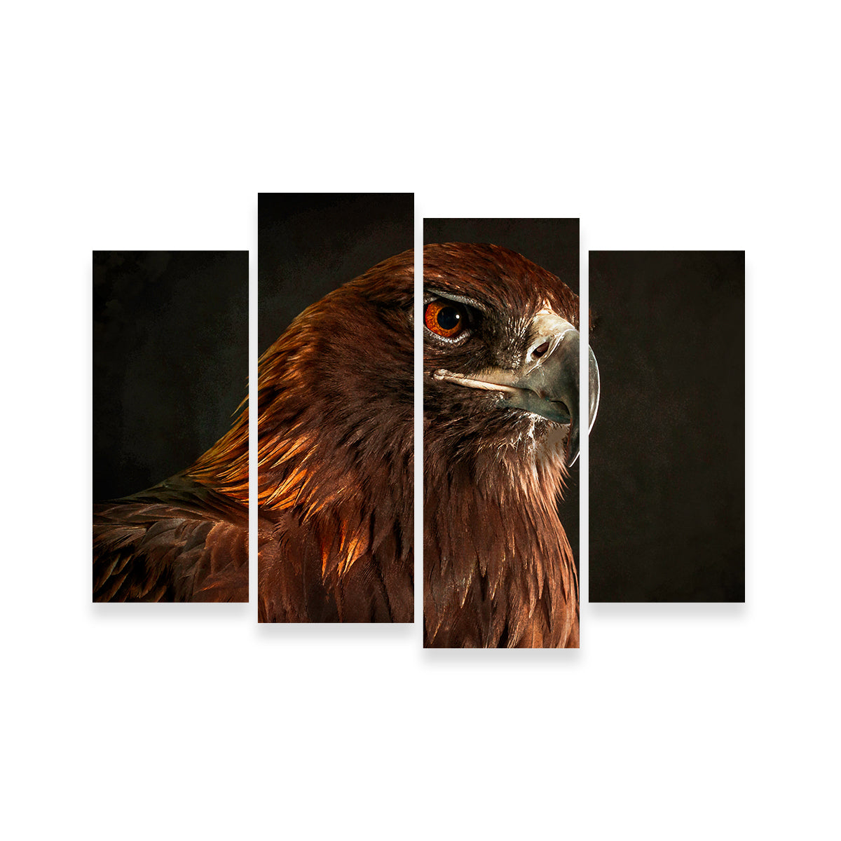 Golden Eagle Wall Art