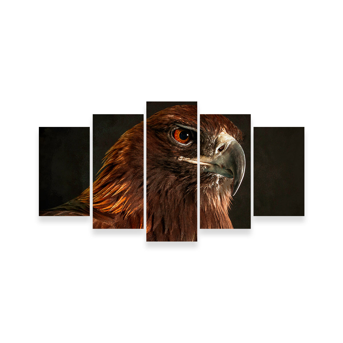 Golden Eagle Wall Art