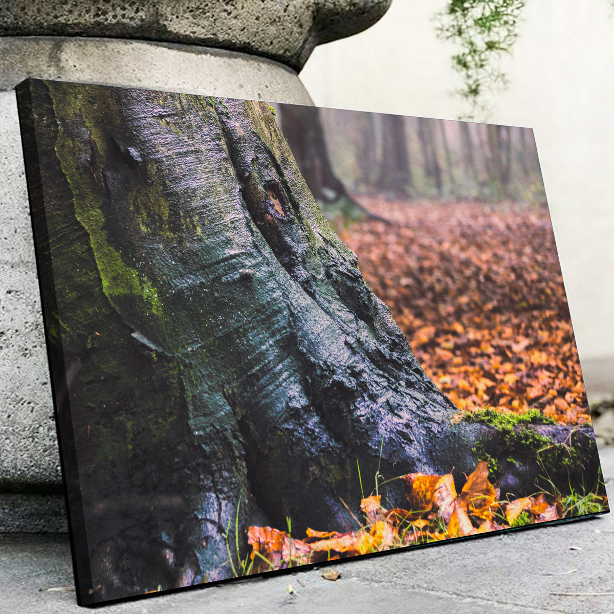 Weathered Trunk Wall Art