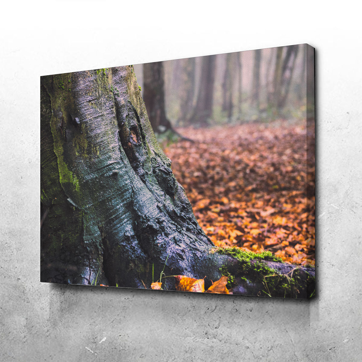 Weathered Trunk Wall Art