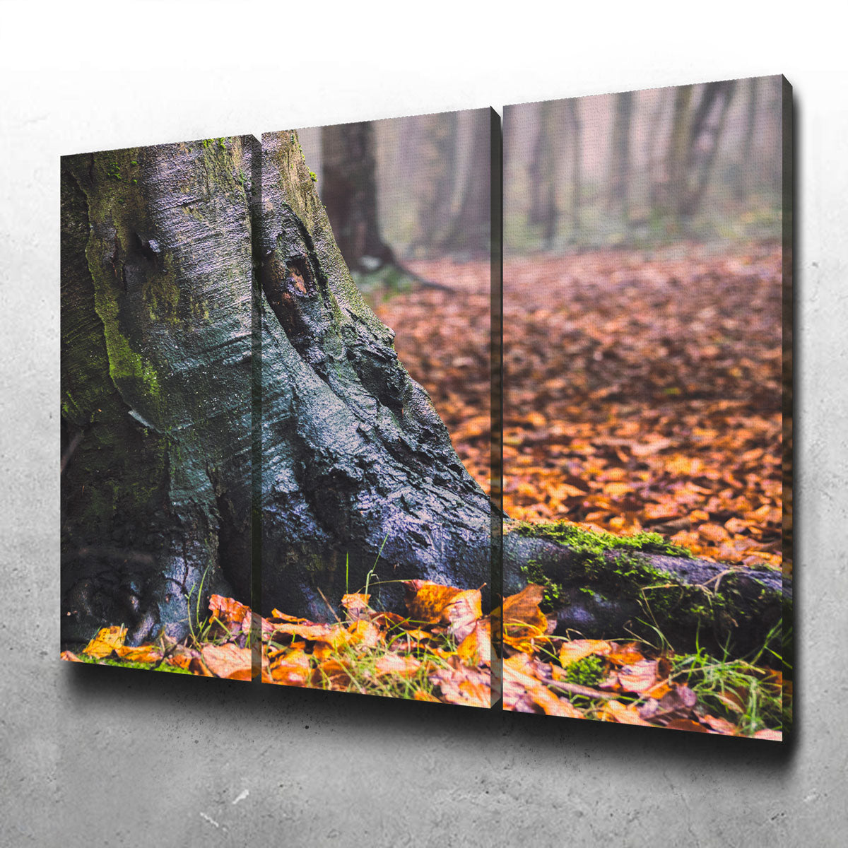 Weathered Trunk Wall Art