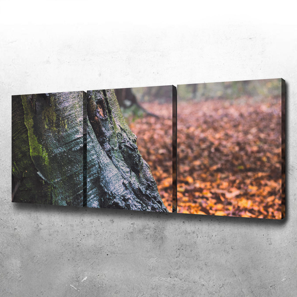 Weathered Trunk Wall Art