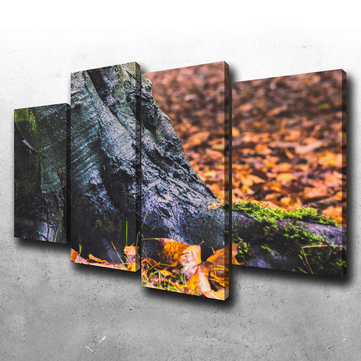 Weathered Trunk Wall Art