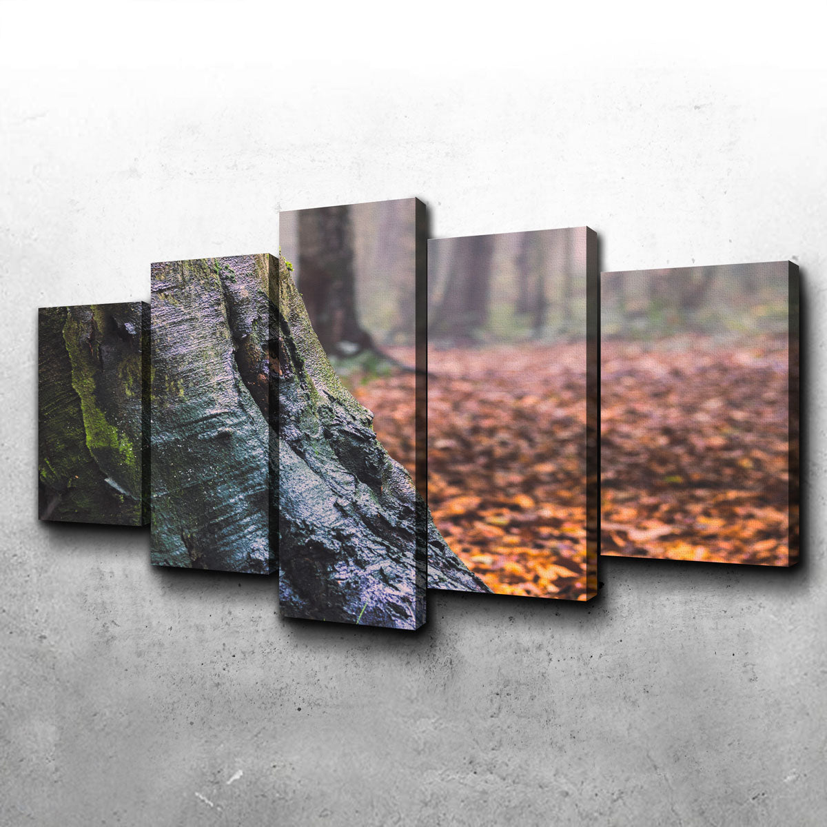 Weathered Trunk Wall Art