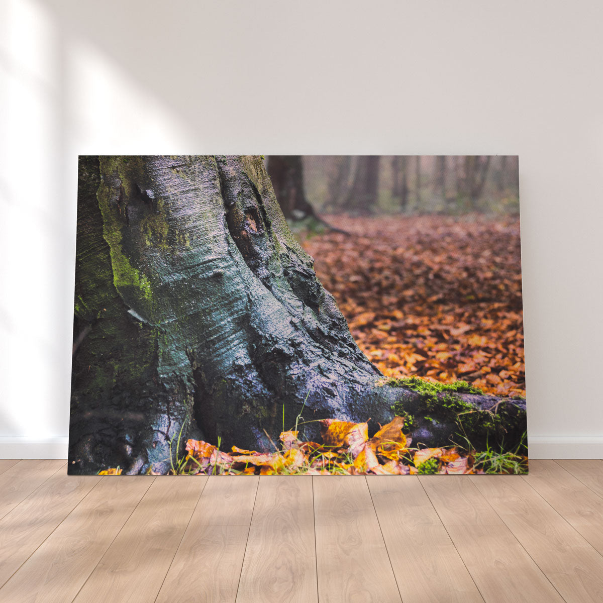 Weathered Trunk Wall Art