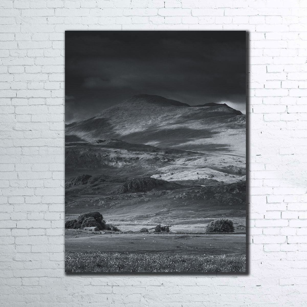 Prairie to Peak Wall Art