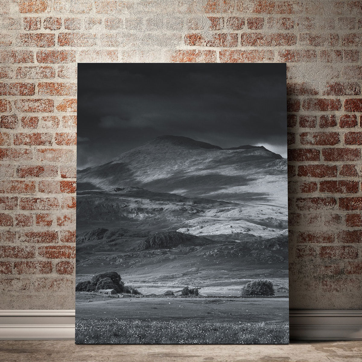 Prairie to Peak Wall Art