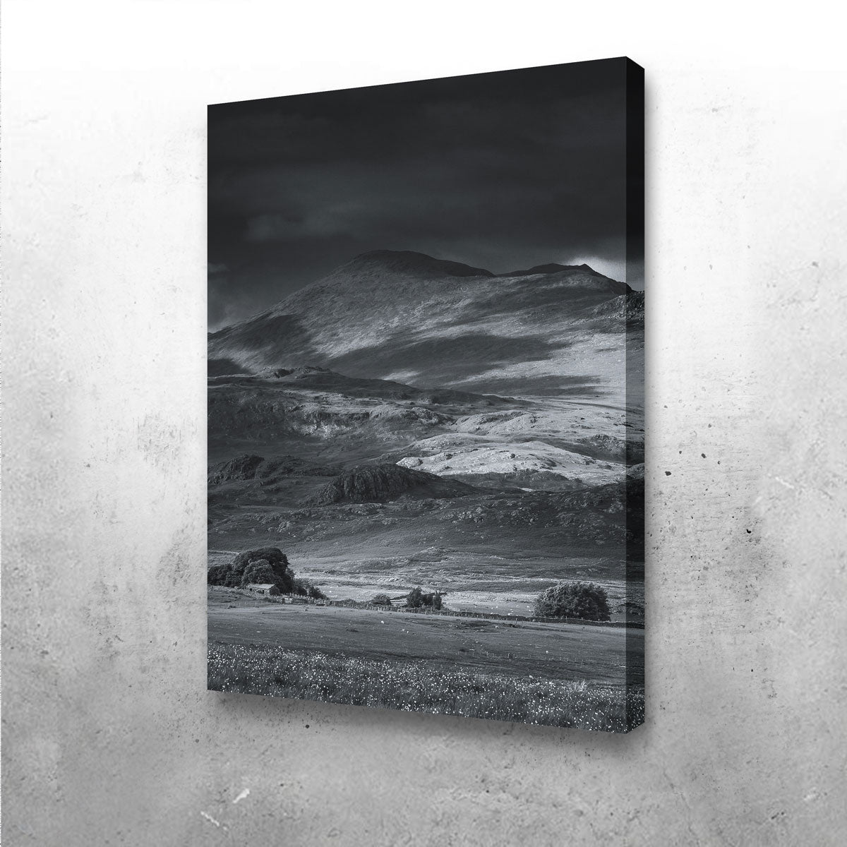 Prairie to Peak Wall Art