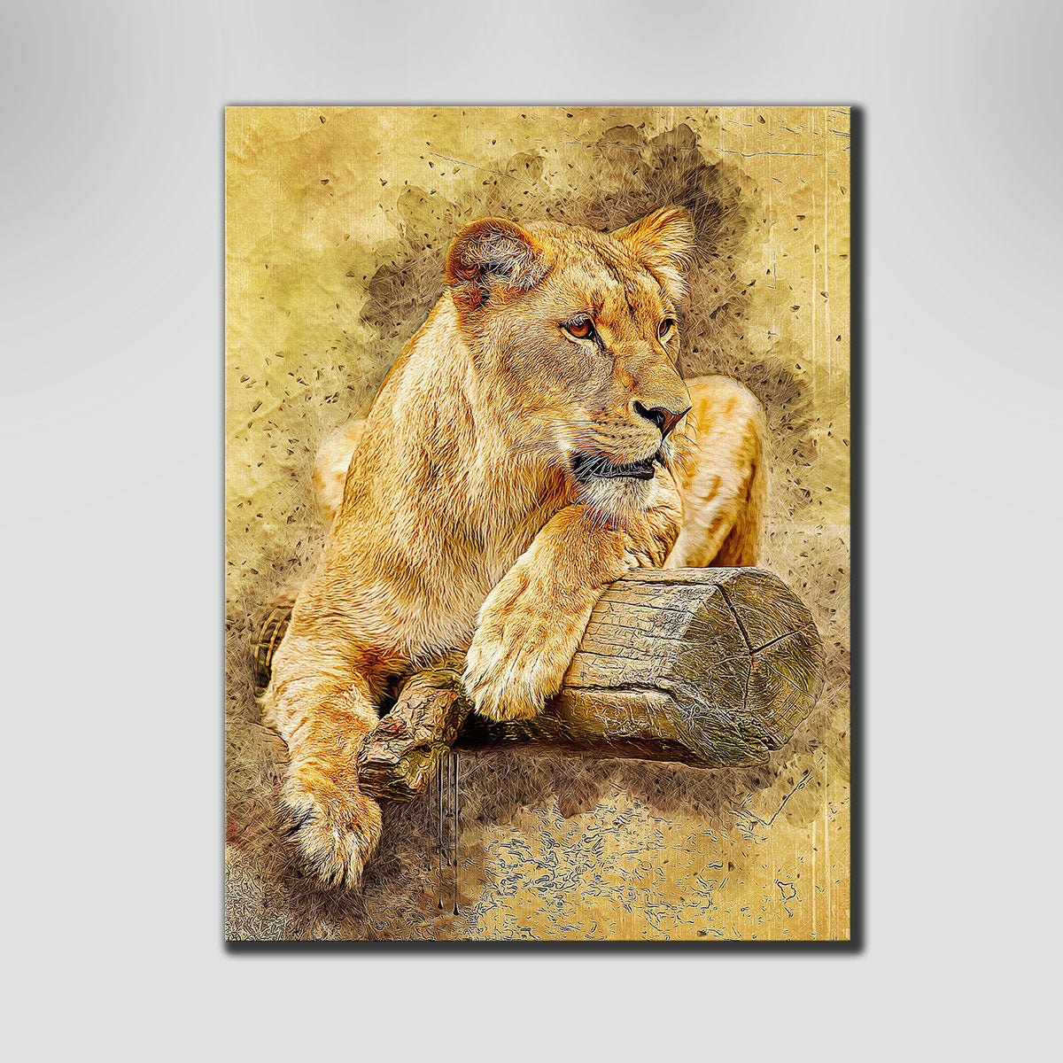 Lioness At Rest Wall Art