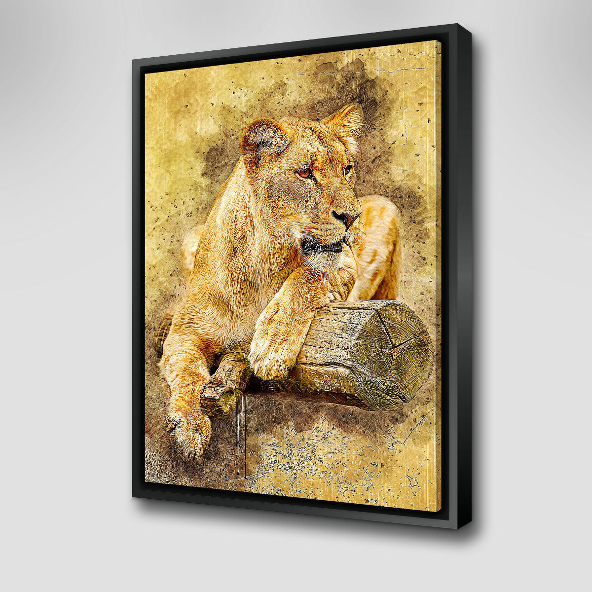 Lioness At Rest Wall Art