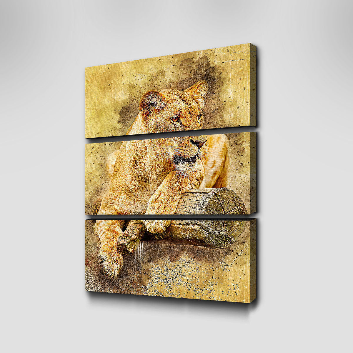Lioness At Rest Wall Art