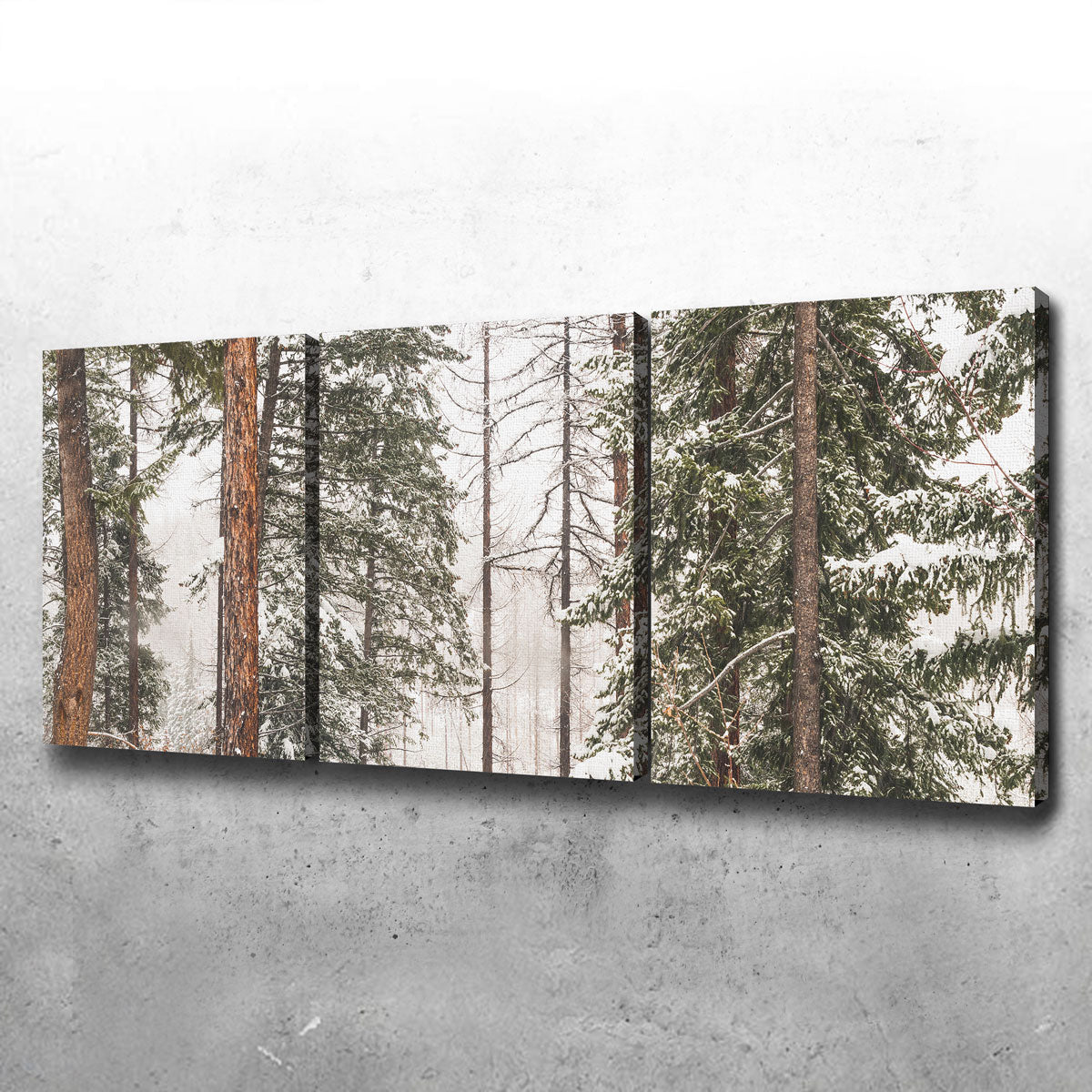 Snow in Lois Creek Wall Art