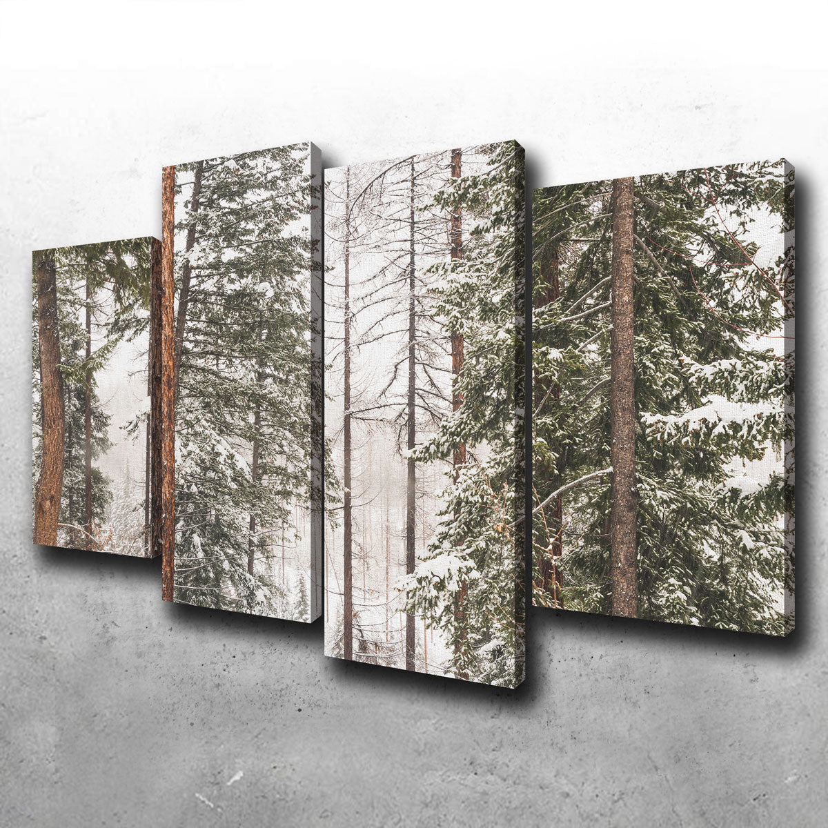 Snow in Lois Creek Wall Art