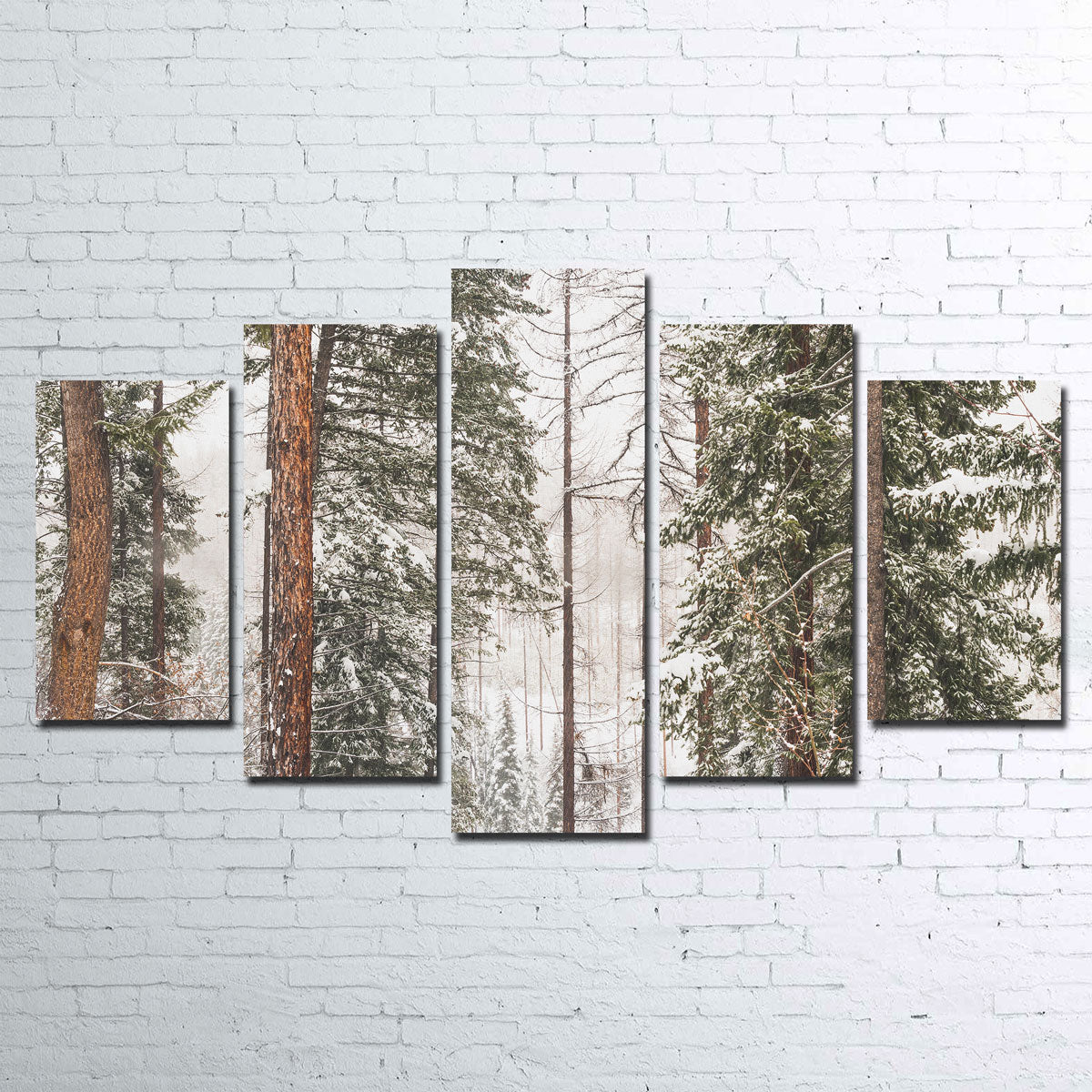 Snow in Lois Creek Wall Art