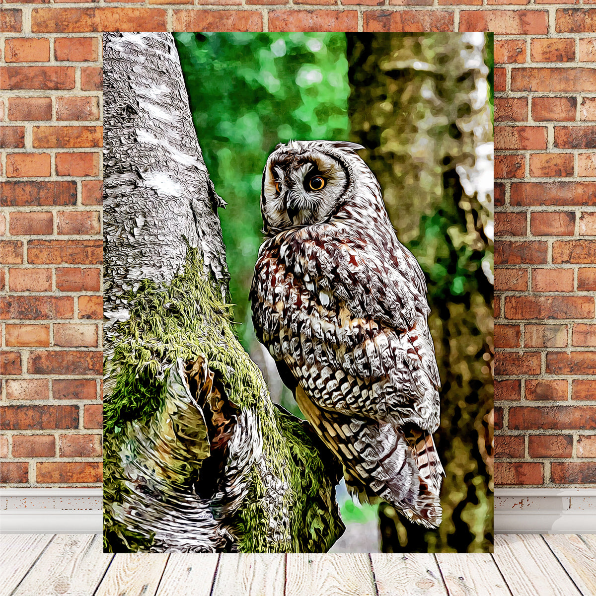 Long Eared Owl Wall Art