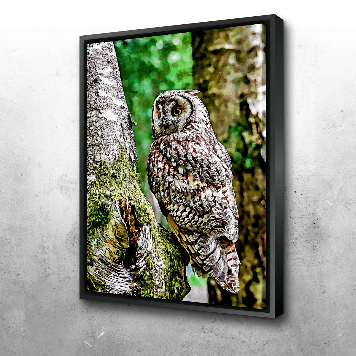 Long Eared Owl Wall Art