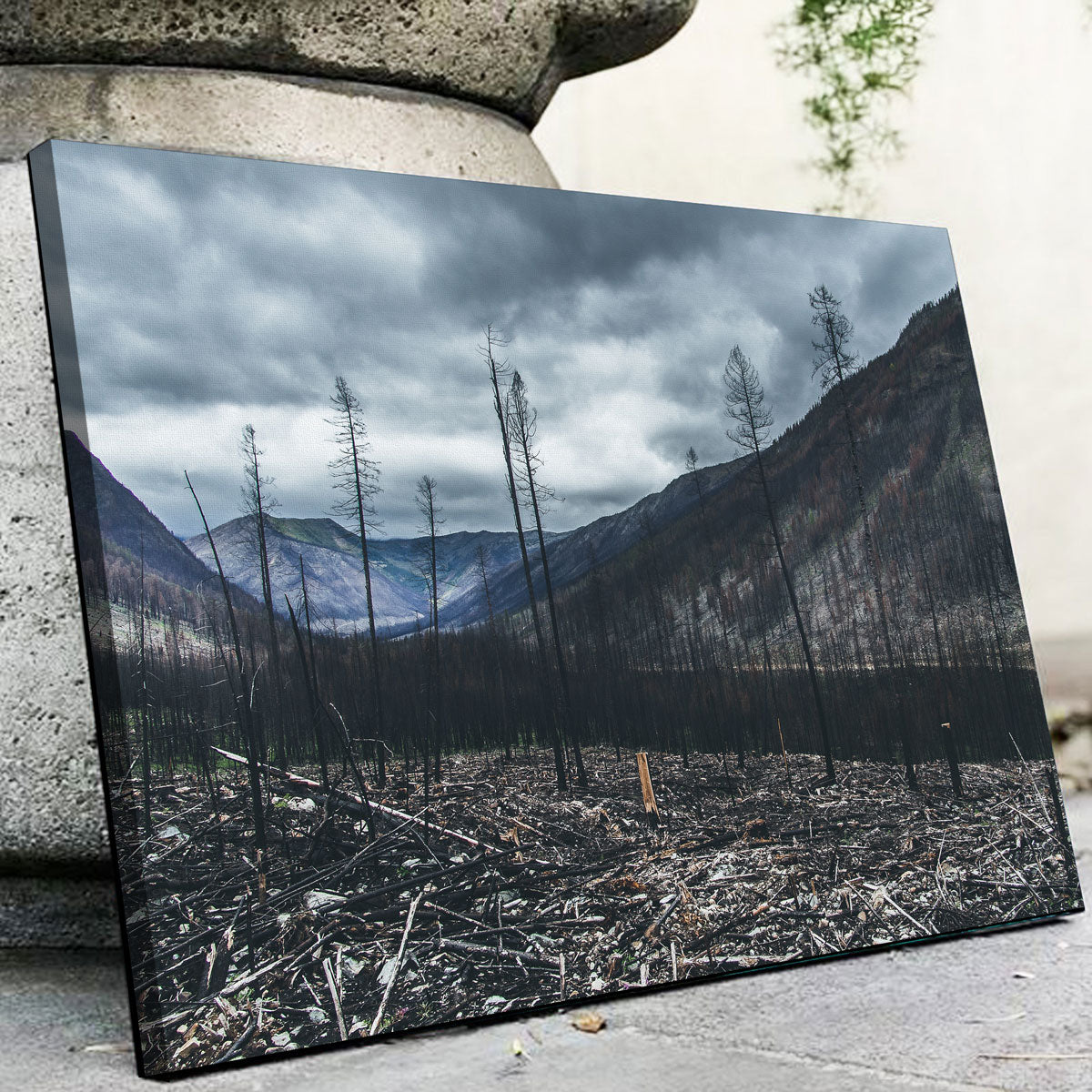 Scorched Trees Wall Art